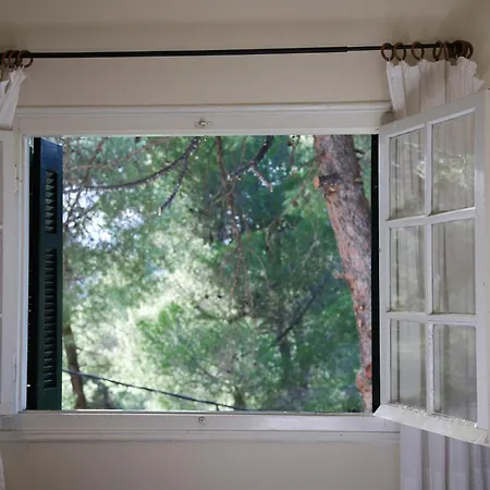 Rhodos Skiathos * Kanapitsa (Thessaly)