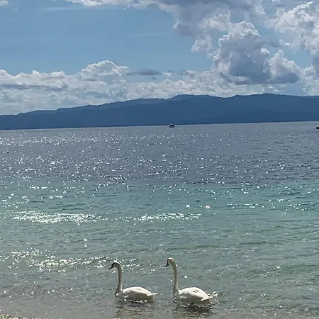 Rhodos