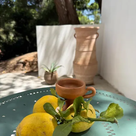 Rhodos Skiathos Villa *